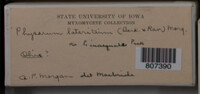 Image Associated With the Occurence